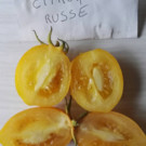 Graines  Graines de tomate citron russe sachets 30 graines  