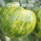 Graines  Graines de tomate green zebra sachet  30 graines  