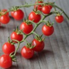 Graines  tomate barbaniaka Groseille sachet de 30 graines  