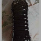 Divers  1litre de jus lombric ou thé de vers de lombric  