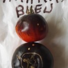 Graines  Sachet 30 graines ananas bleu  