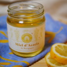 Miel  Miel d'acacia Bio - Bourgogne  