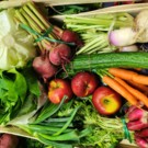 Panier de légumes  à retirer le vendredi après-midi ou le samedi  