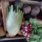 Panier DUO (légumes de saison / 2 pers)  5 variétés minimum de légumes de saison  