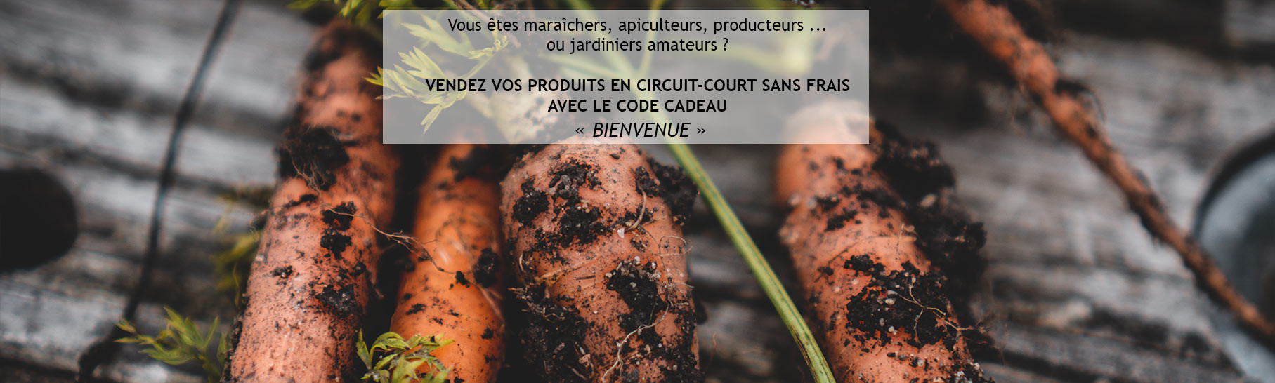 carottes-terres